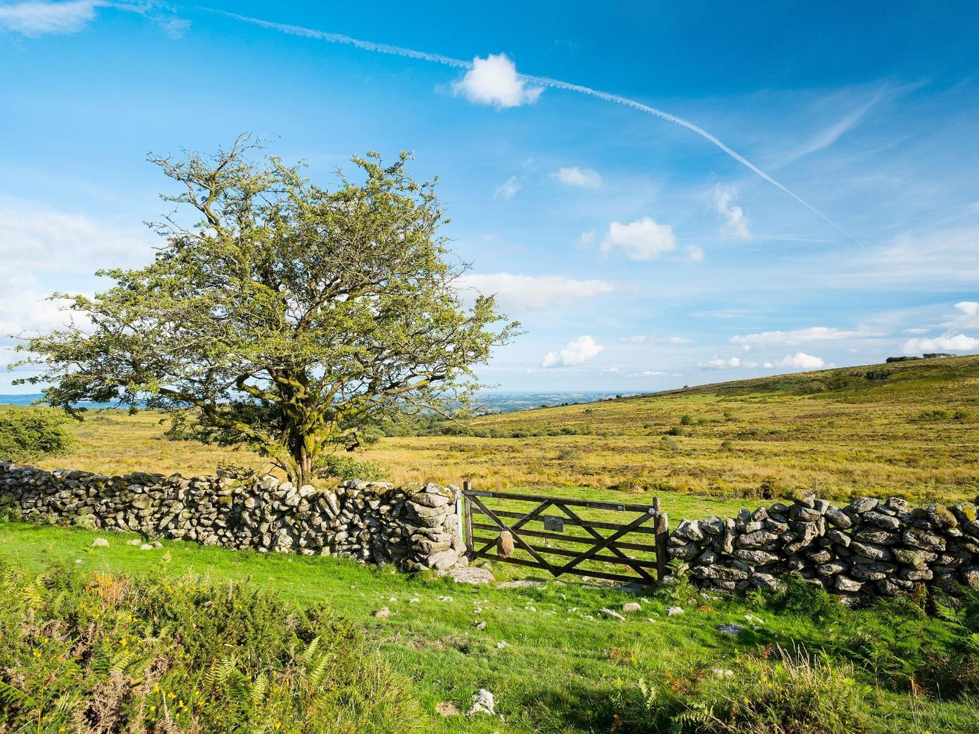 Chapel Cottage Lydford Dış mekan fotoğraf
